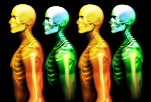 An x ray image of a some man in which you can see the Skelton under the skin.