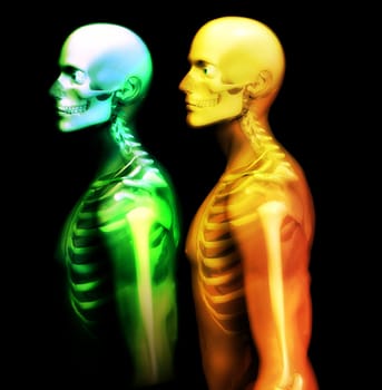An x ray image of a some man in which you can see the Skelton under the skin.