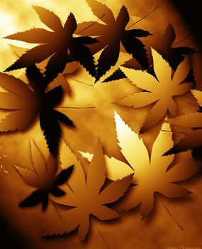 Leafs fall in summer in randomly for brown cast