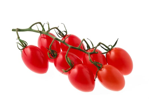 Cherry tomatoes on a branch isolated on white (photo with full depth of field)