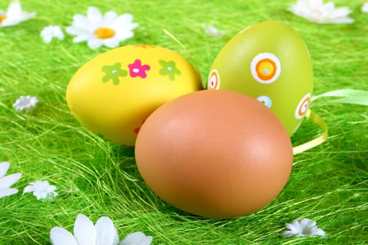 Painted Colorful Easter Eggs on green Grass