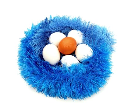egg nest