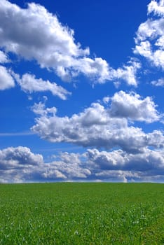 Beautiful spring landscape with green grass and cloudy blue sky