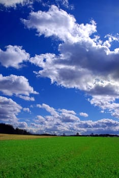 Beautiful summer landscape with green grass and cloudy blue sky