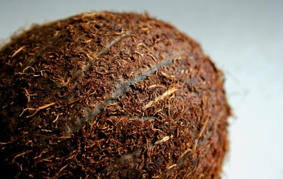 Close up of a coconut