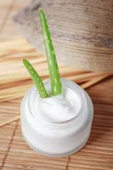 Cream with Aloe Vera