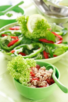 Healthy food, salad with tunny and vegetable