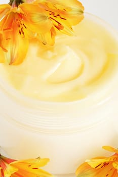 Face or body cream of natural basis