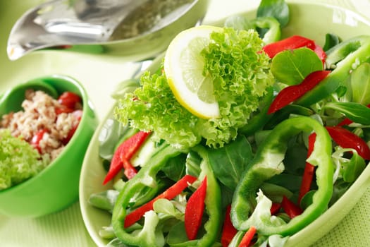 Healthy food - vegetable salad with tunny