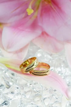 Golden wedding rings on bright background
