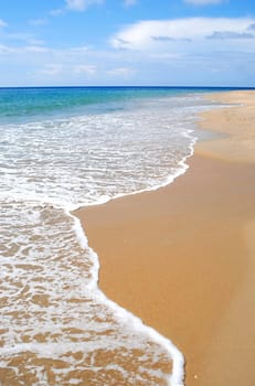 whitewash on tropical caribbean island