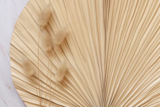 Dry beige palm leaf and hare's tail grass top view, natural bohemian bakground. Boho scene, minimal composition.