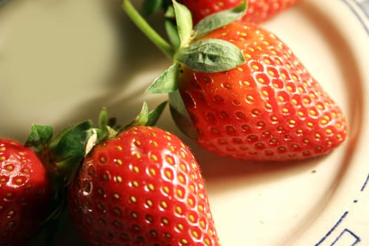 strawberry fruitstrawberry fruit