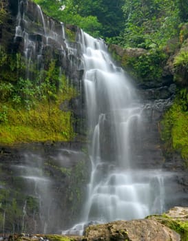 waterfall through a dense lush forest