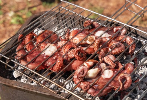 Fresh octopuses on the charcoal grill, Italy. Traditional Mediterranean cuisine. Grilling seafood outdoor with friends during summer time. Rustic style grilled octopus bbq