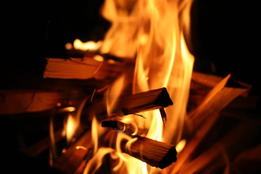 bright flame of a fire burns on pieces of a tree, in a fire coal decays