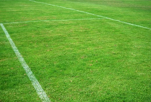 The inner square lines of a football pitch goal area