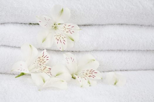 White towels decorated with white flowers for wellness, spa or bath