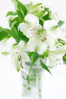 Detail of summer flowers