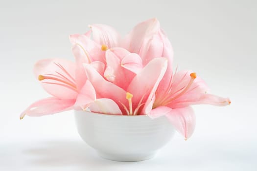 Harmony - concept of harmony, balance, meditation
