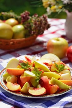 Summer refreshment - fresh fruits served in the garden