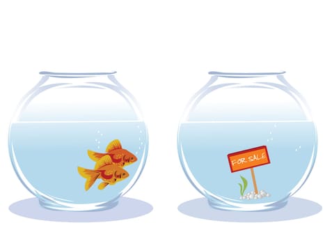 Two goldfish looking for new house