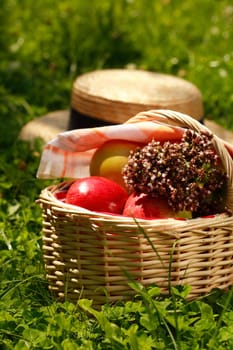 Basket with apples and herbs - fresh from garden
