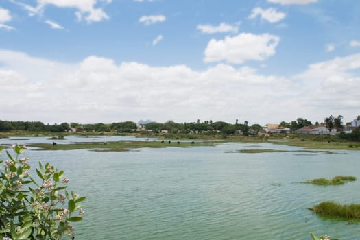 A lake with small islands of grasslands.