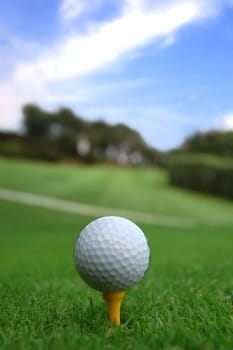 A Golf ball on a yellow tee
