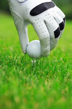 Detail of golf ball and gloves