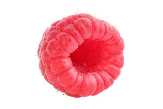 Closeup of single isolated raspberry