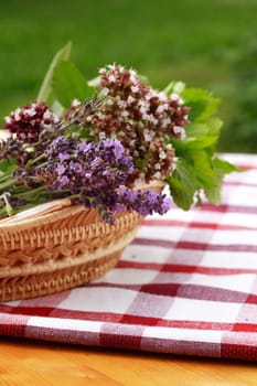 Fresh herbs from garden