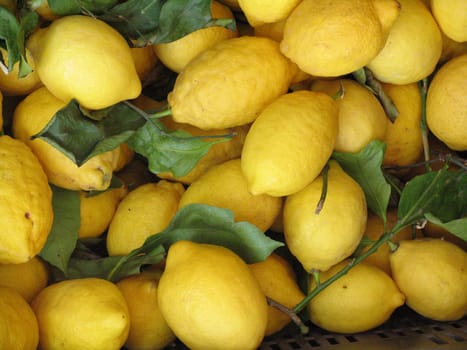 Lemons in Amaldi