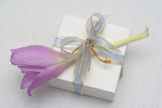 Gift with a flower on a white background