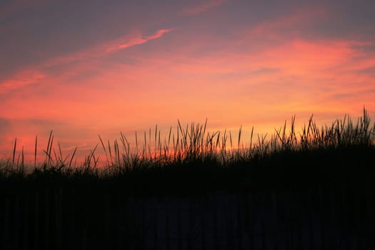 Sunset at the Beach