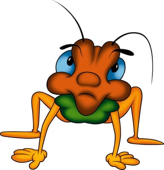Beetle 25 long-legged - High detailed and coloured illustration