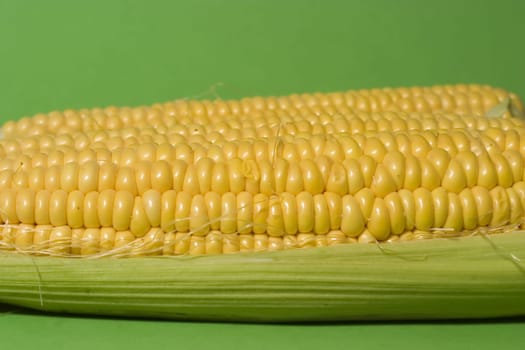 Corn cobs isolated on green