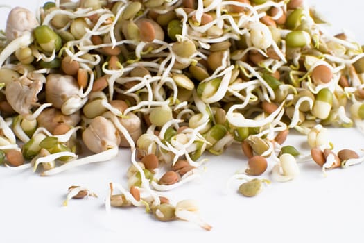 Sprouts isolated on white.