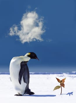 Global warming in Antarctica
