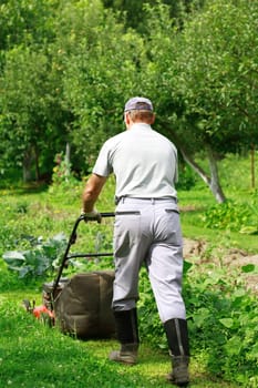 Man working in the garden - cutting the grass