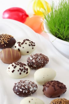 Easter chocolate egg with fresh grass