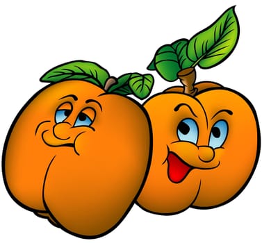 Apricots - Highly detailed and coloured cartoon vector illustration