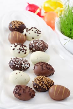 Easter chocolate egg with fresh grass