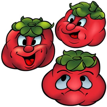 Three Tomatoes - High detailed and coloured cartoon vector illustration