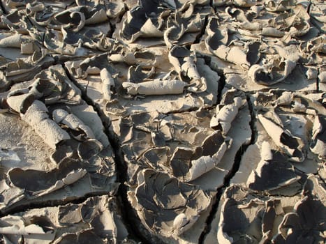 The bed of a pond in West Tennessee after a summer of no virtually rain and triple digit temperatures.