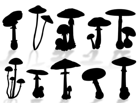 Mushrooms silhouette as symbol of autumn season