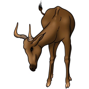 Antelope 01 - High detailed and coloured illustration - Grazing antelope