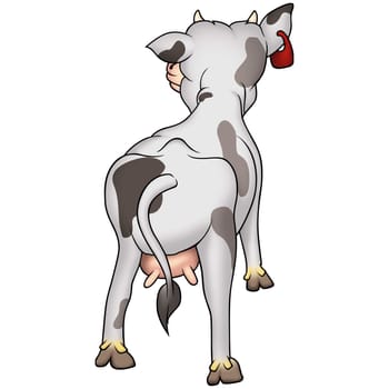 Cow 01 - High detailed and coloured illustration - White spotted cow