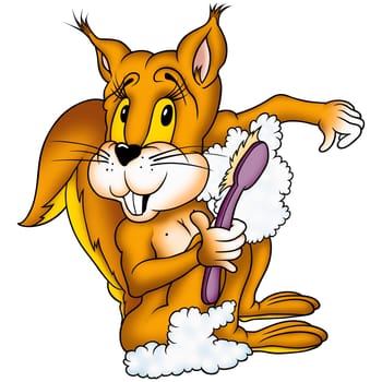 Squirrel 01 washing - High detailed and coloured illustration