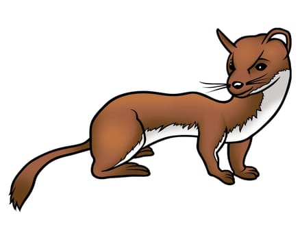 Weasel 02 - High detailed and coloured cartoon illustration